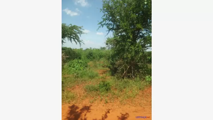 KSh35,000 1,500 Acres For Sale in Mutha Kitui County
